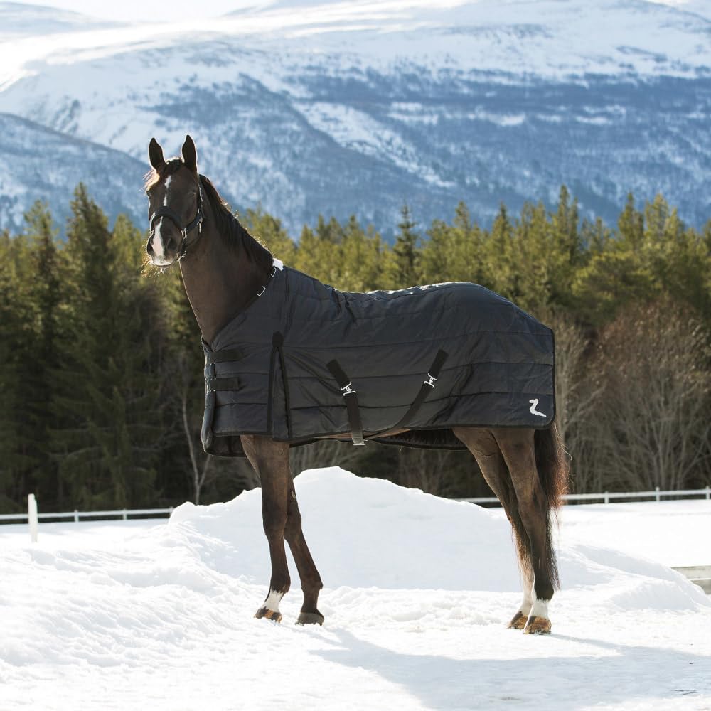 Horze Nevada Stalldecke für die Übergangszeiten, 420D, 100g Füllung, Schwarz, 135