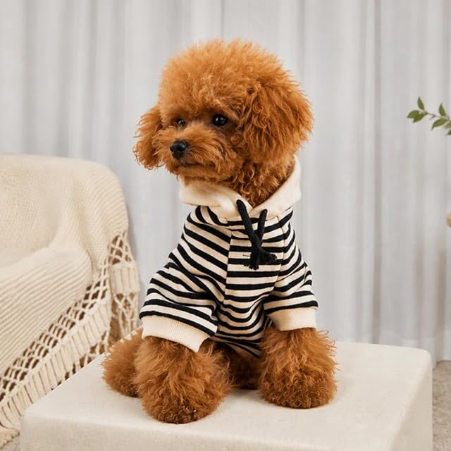 Foto 4 de 7 de Wiz BBQT Ropa a Juego para Perros y dueños: Sudadera con Capucha para mamá y papá, se Vende por Separado