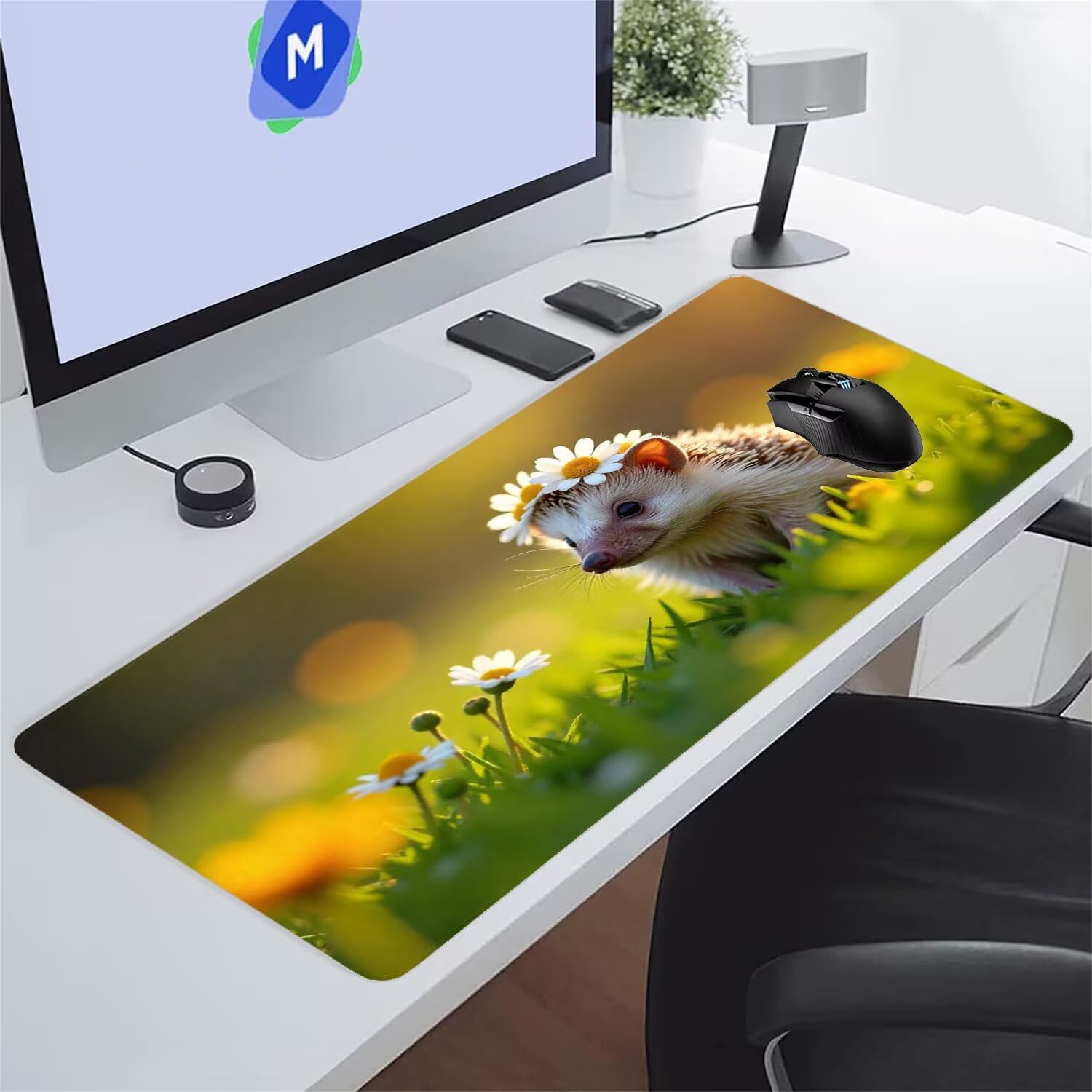Thumbnail
