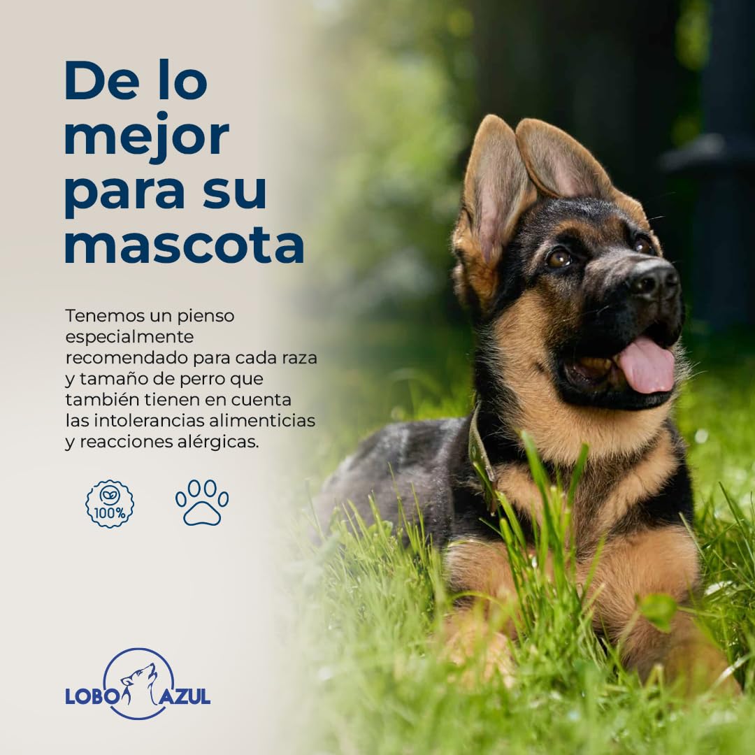 Pienso Grain Free para Cachorros - Salmón y Pavo Fresco - Comida Hipoalergénica para Cachorros - 12kg Lobo Azul Puppy Salmon & Turkey