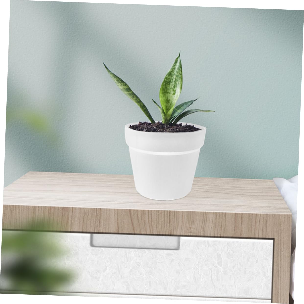 Toyvian 2 Ensembles Pot de Fleurs Plastique avec Soucoupe de Pots Ronds Simples et pour Fleurs et Légumes Utilisation Intérieure et Extérieure