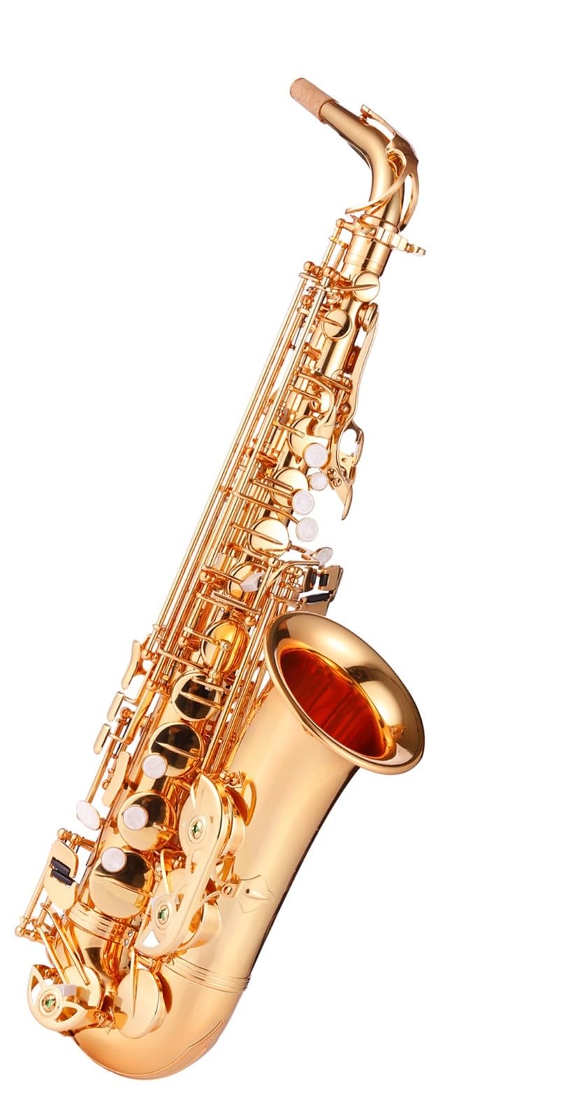 Ornements de Piano à Queue Saxophone Alto Professionnel pour débutants et Adultes en mi bémol