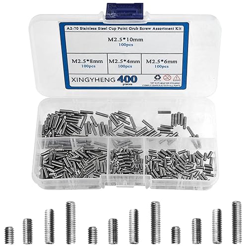 XINGYHENG Juego de 400 tornillos de acero inoxidable M2.5 x 4/6/8/0.394 in A2-70 con punta de copa de acero inoxidable Allen (DIN916 y GB80)