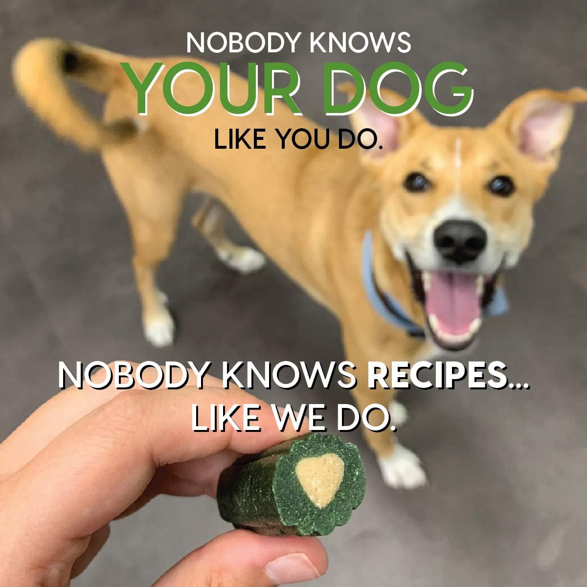 Ark Naturals Brushless Toothpaste, Dog Dental Chews for Medium Breeds, Vet Recommended for Plaque, Bacteria & Tartar Control, 1 Pack : Everything Else