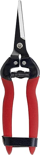 Miniatura 5 de Corona Long Straight Snip