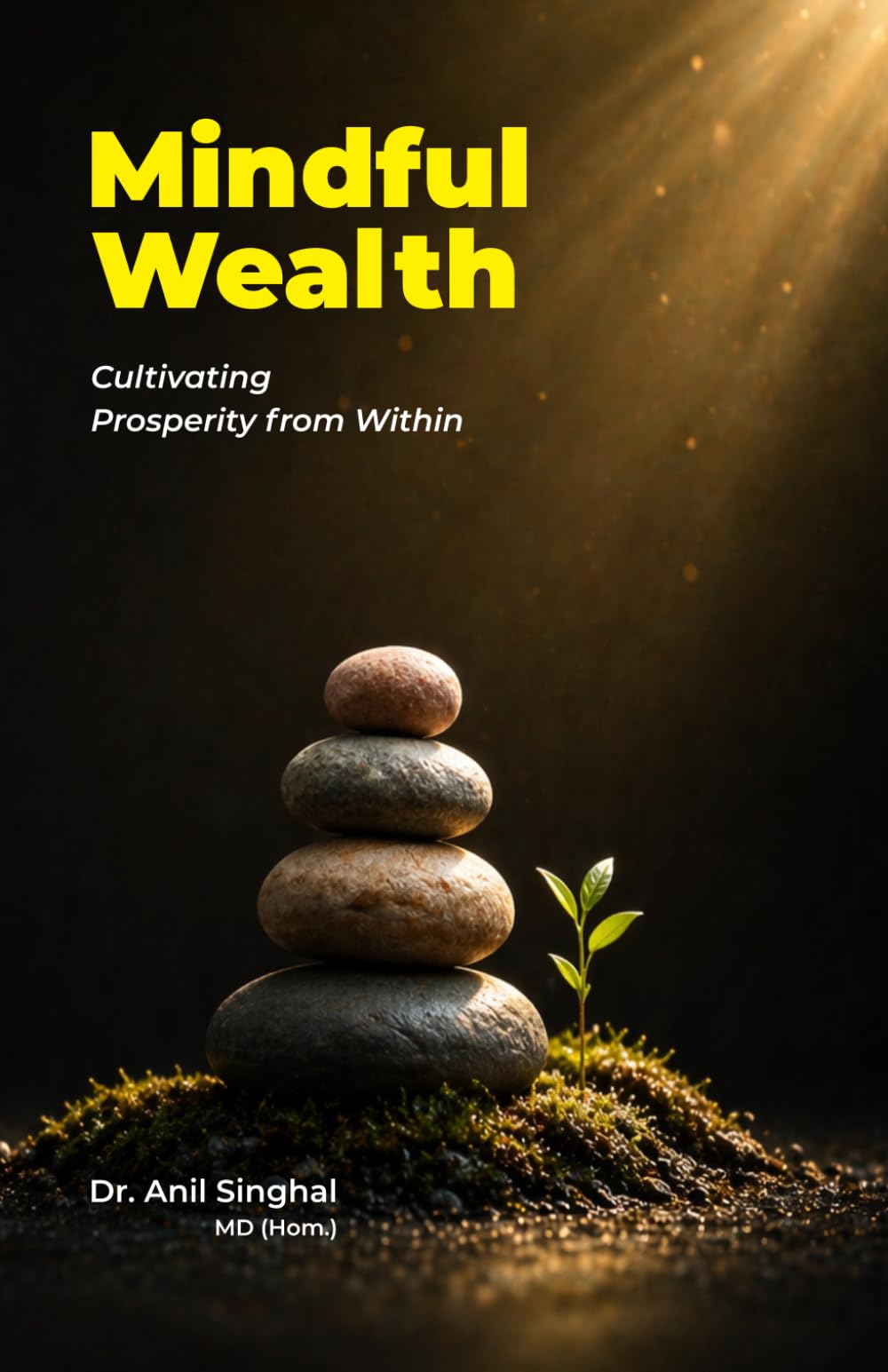 Mindful Wealth: Cultivating Prosperity from Within