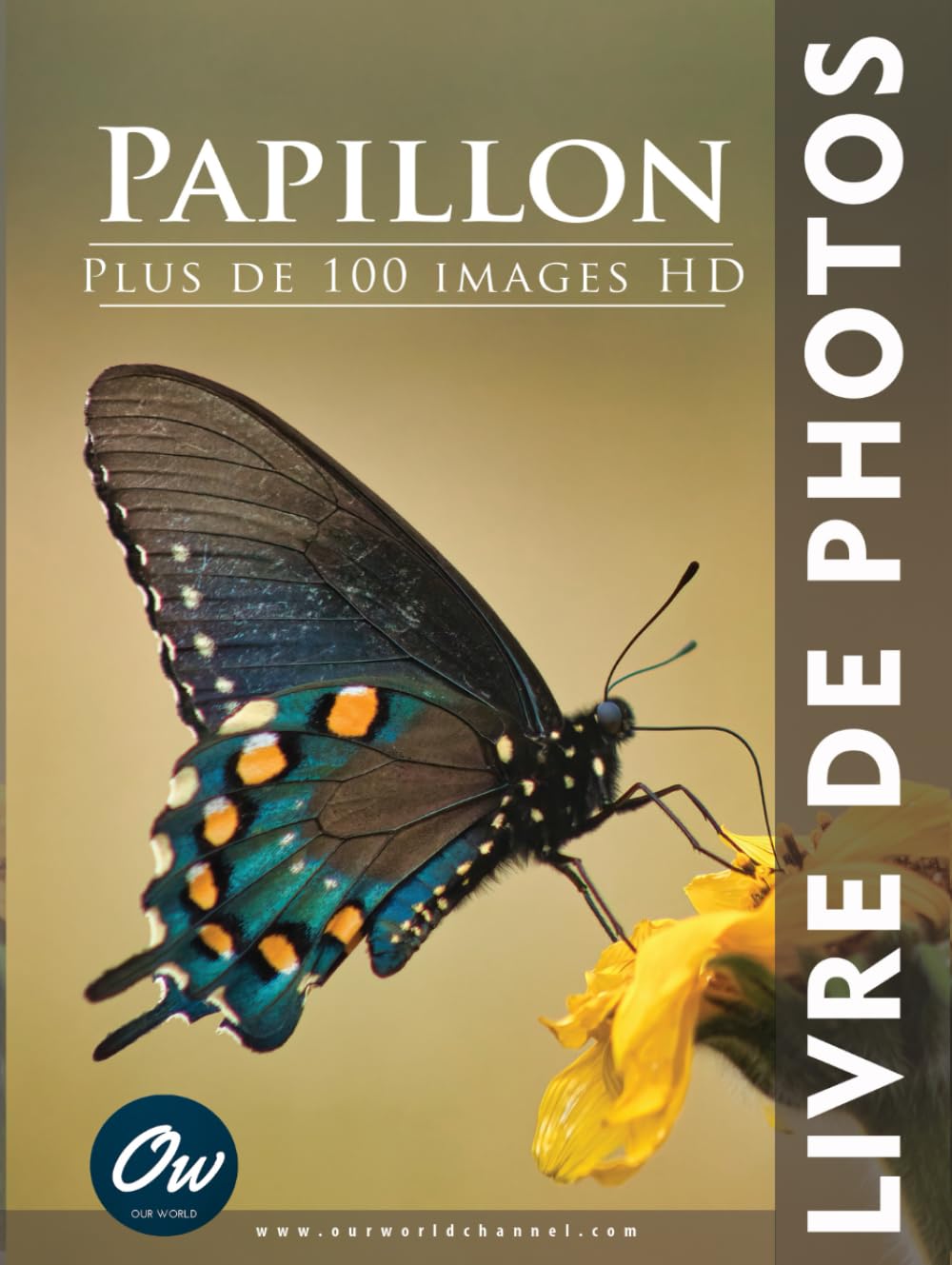 Livre de photos papillon avec images HD, l'idée cadeau nature idéale