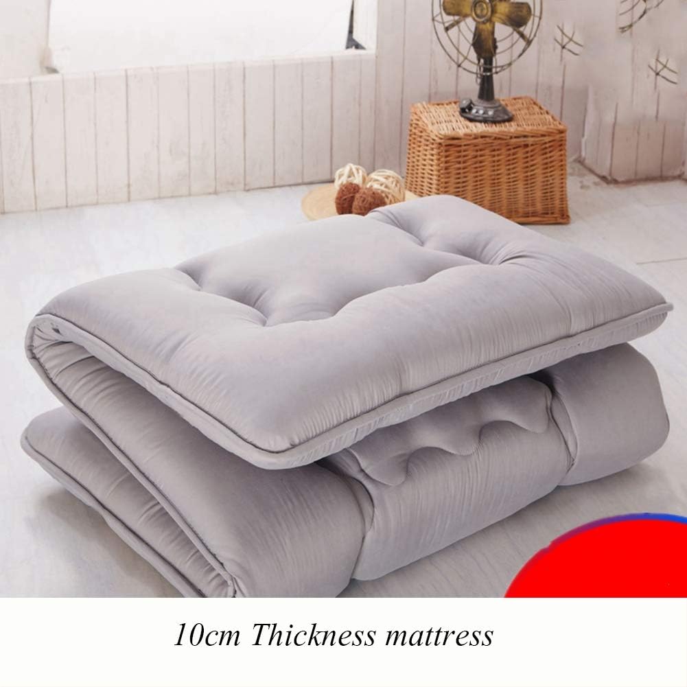Thicken Sleeping Tatami Floor mat, Foldable Futon Mattress pad Soft Japanese Roll up Student dormitory Mattress pad-E 100x200cm(39x79inch)