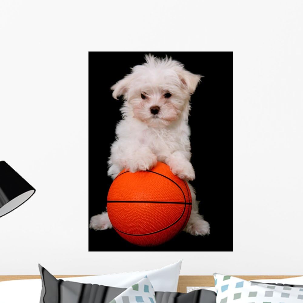 Wallmonkeys A Small Cute Dog Playing Basketball Wall Decal Peel and Stick Graphic WM176299 (24 in H x 17 in W)