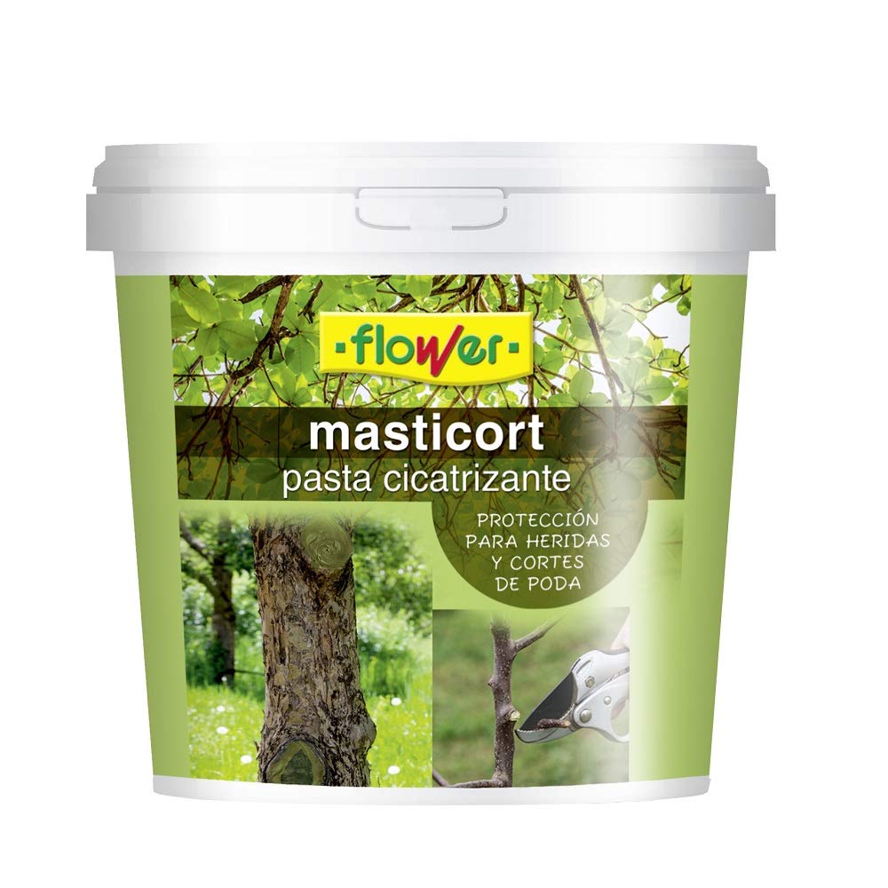 Unbekannt Flower 40519 Masti Cort, 1 Kg