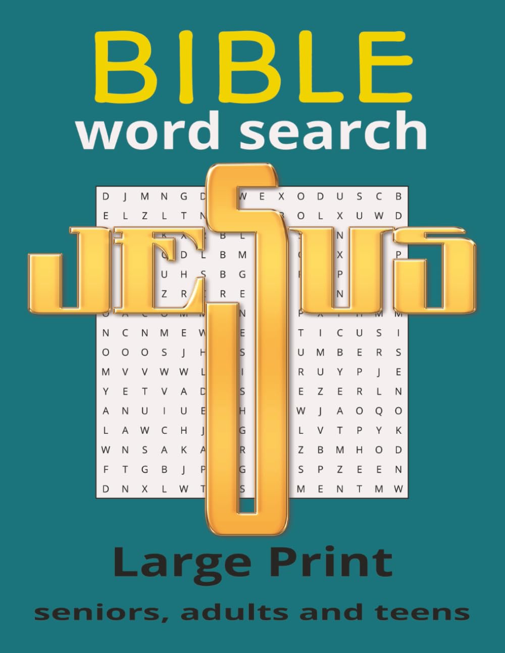 BIBLE: word search large print seniors, adults and teens
