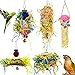 Heyu-Lotus Lot de 5 jouets à mâcher à suspendre pour petits perroquets, cacatoès, perruches, conures, inséparables, pinsons