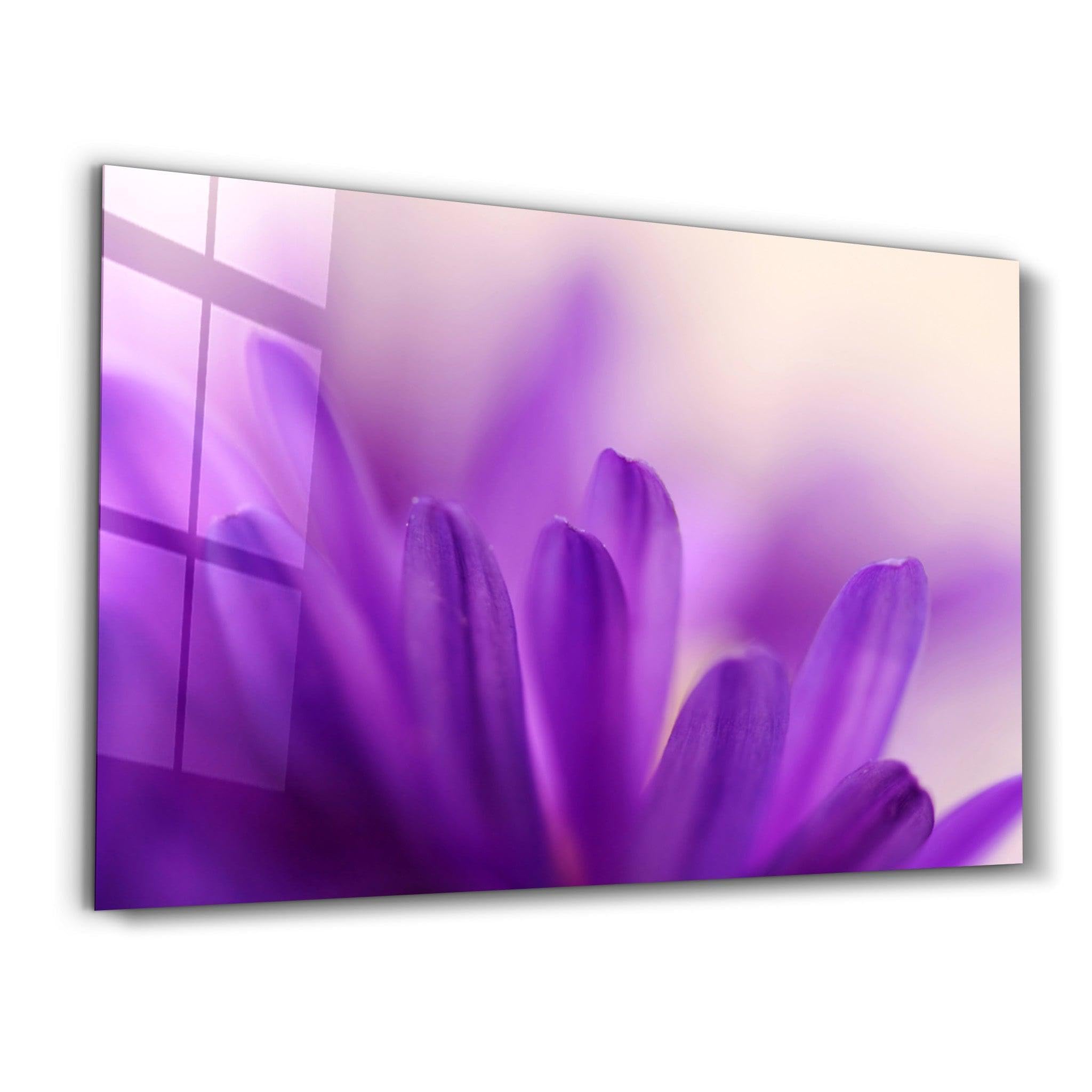 DesignSkinz Designers Collection Glass Wall Art for Living Room, Bedroom, Office, Study, Shelf (22x14inch) - Violet Dream