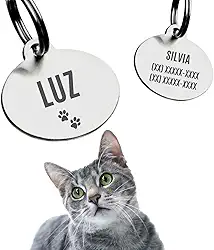 Alubrax Coleira Guizo Com Placa de Identificação Pet Plaquinha Pingente Personalizada Para Gatos