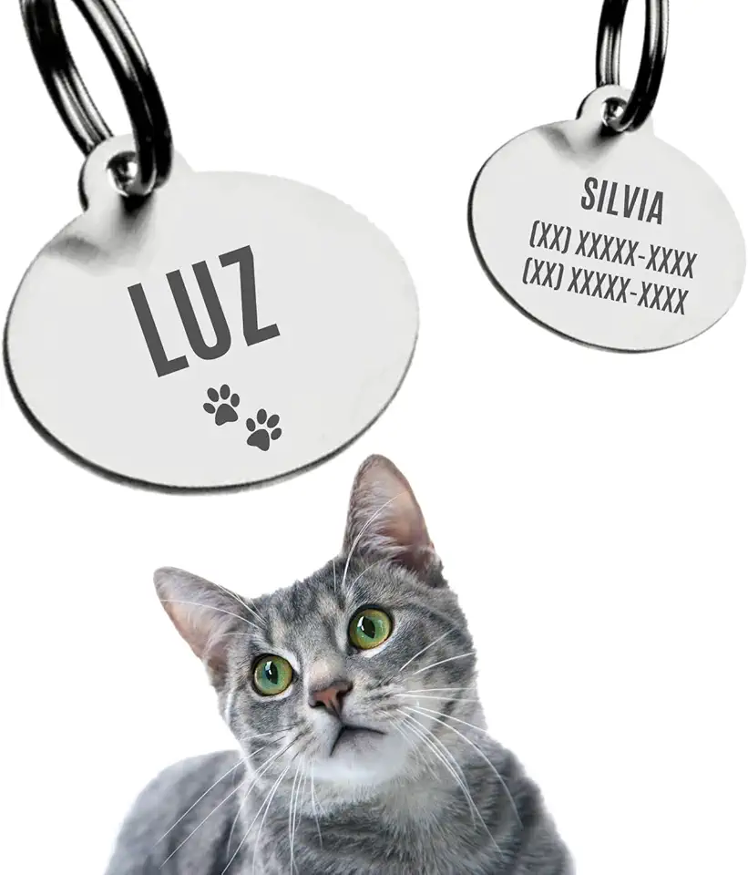 Alubrax Coleira Guizo Com Placa de Identificação Pet Plaquinha Pingente Personalizada Para Gatos