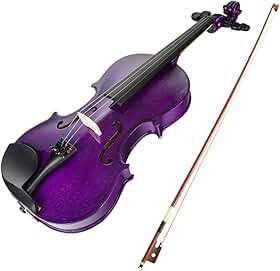 Violino Acústico com Topo de Abeto Fundo e Lados Tília Pau-Brasil Capa Transporte Instrumento Cordas para Iniciantes