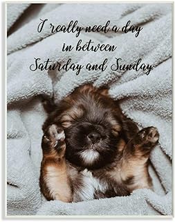 Stupell Industries Three Day Weekend Phrase Funny Puppy Pet Humor, Designed by Ziwei Li Art, 13 x 19, Wall Plaque