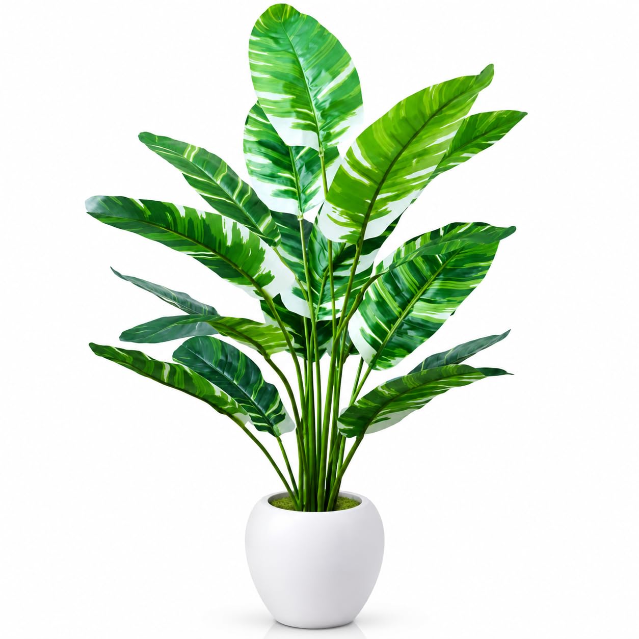Eden Artificial Banana Leaf Plant with White Pot for Home Decor | Large Green Indoor Fake Plant for Living Room Office Floor Decoration Pack of 2-image-43
