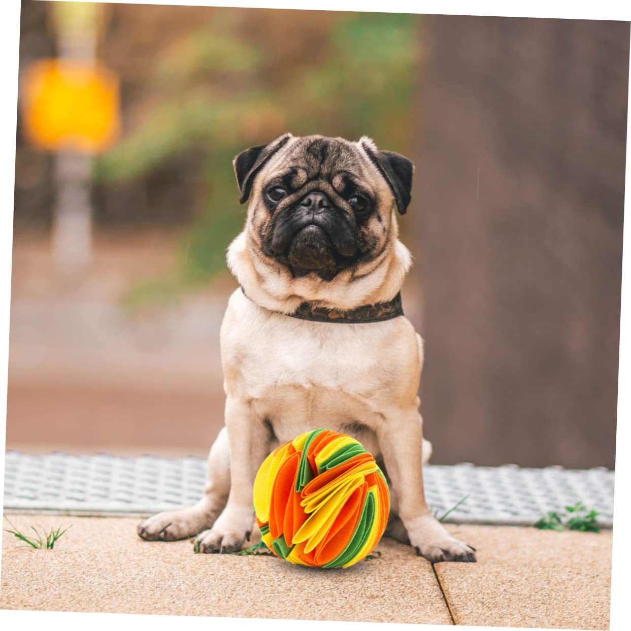 Kisangel 2piezas Juguete Interactivo para Perros Bola De Olfato para Mascotas Juguete De Masticación y Dispensador De Comida Estimula La Coordinación y Previene El Aburrimiento