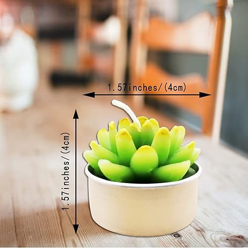Miniatura 4 de 12 velas de cactus suculentas para decoración del hogar, spa, boda, día de San Valentín, regalo de cumpleaños, celebración de aniversario