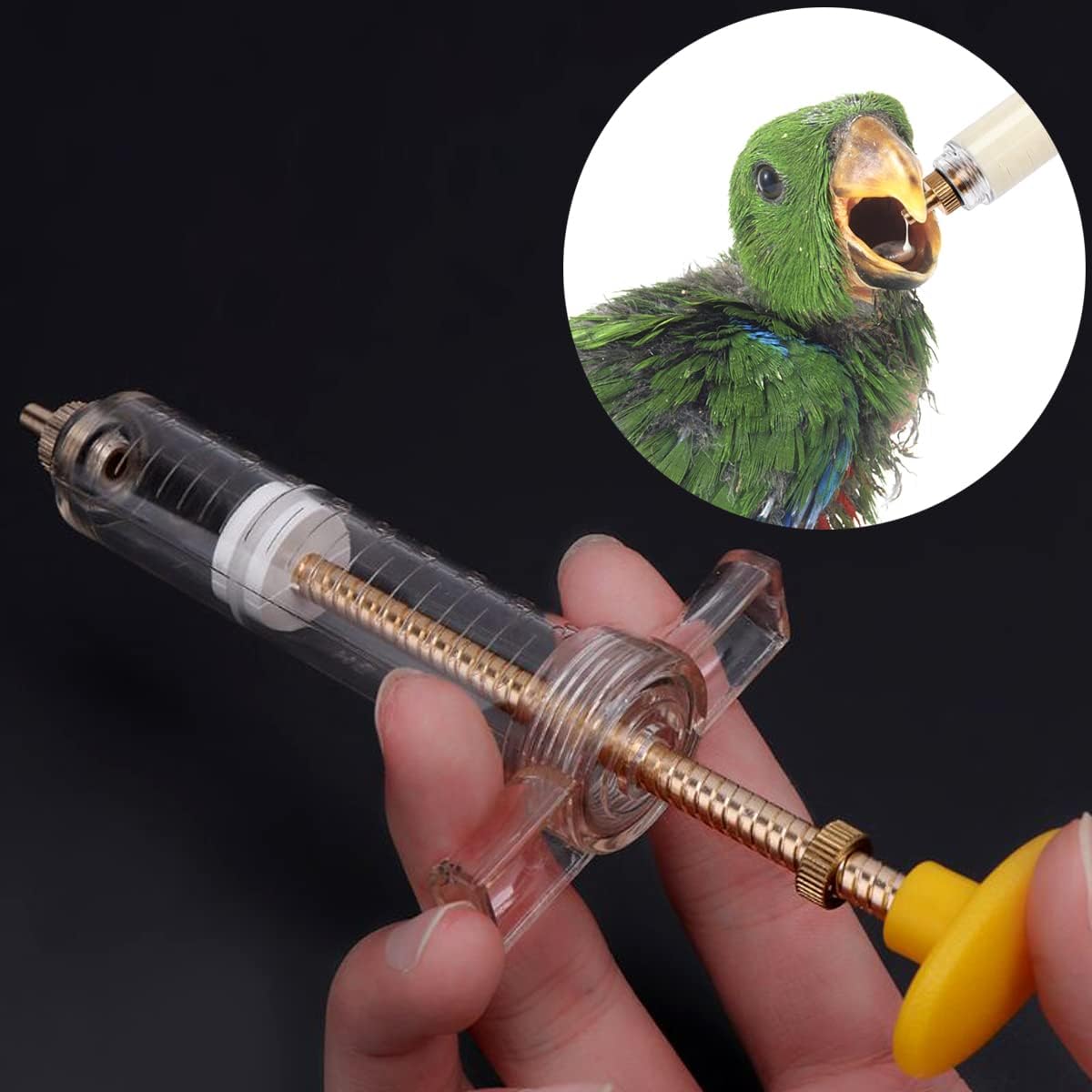 Bird Feeding Syringe Set, Baby Birds Syringe Feeder Parrot Feeding