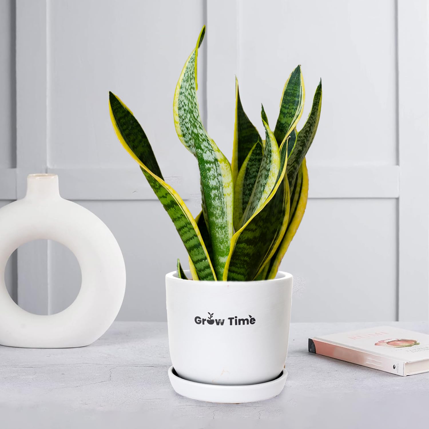 See full amazon price history chart for Growtime Terracotta Planter Pots for Plants, Indoor Living Room, Flower Pots, Terracotta Planters Pot for Home Decoration, Plant Pot for Indoor Plants (Silver Grey) Growtime Terracotta Planter Pots for Plants, Indoor Living Room, Flower Pots, Terracotta Planters Pot for Home Decoration, Plant Pot for Indoor Plants (Silver Grey) (B0D1P85RCG) Amazon Price History, Amazon Price Tracker