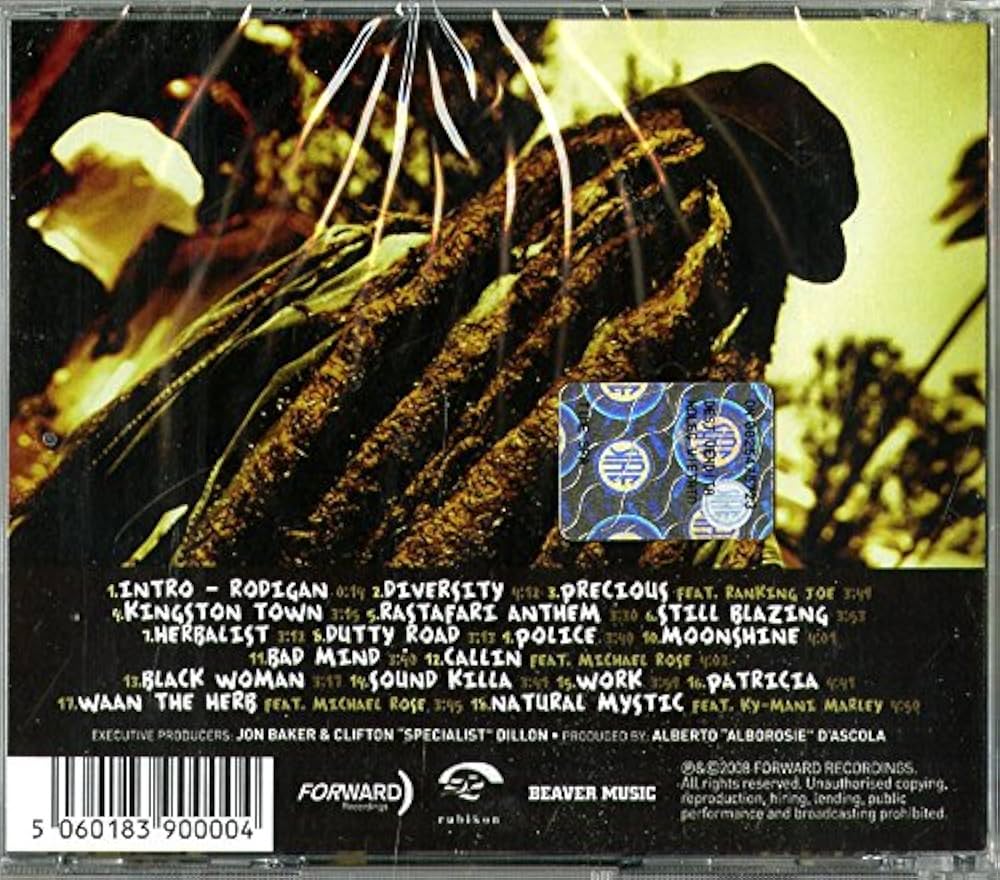 ジャマイカLP Alborosie Soul Pirate NONE Forward Recordings (2) /00260 Alborosie – Soul Pirate | Releases | Discogs