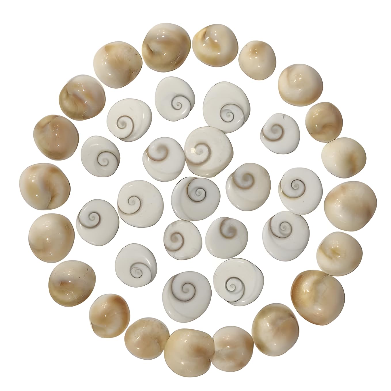 See full amazon price history chart for gomti chakra original | gomti chakra | oringinal gomti chakar small size half centimeter(pack of 21) gomti chakra original | gomti chakra | oringinal gomti chakar small size half centimeter(pack of 21) (B0DGDLVRDF) Amazon Price History, Amazon Price Tracker