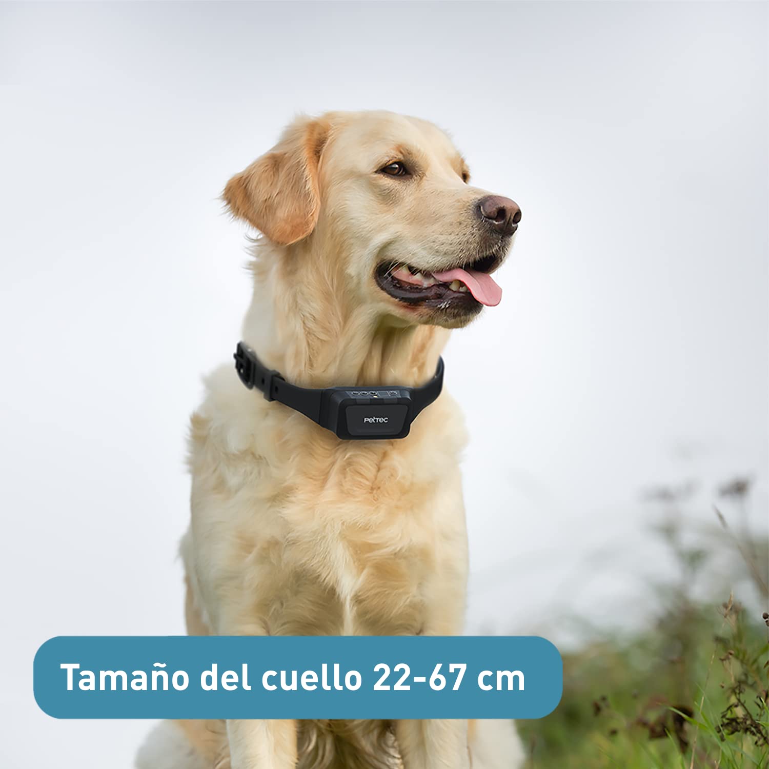 PetTec Collar de Pulverización con Mando a Distancia, hasta 600m - Collar Antiladrido de Entrenamiento Pulverizador, Remoto y Resistente al Agua, Dispositivo de Entrenamiento - Seguro para tu Perro