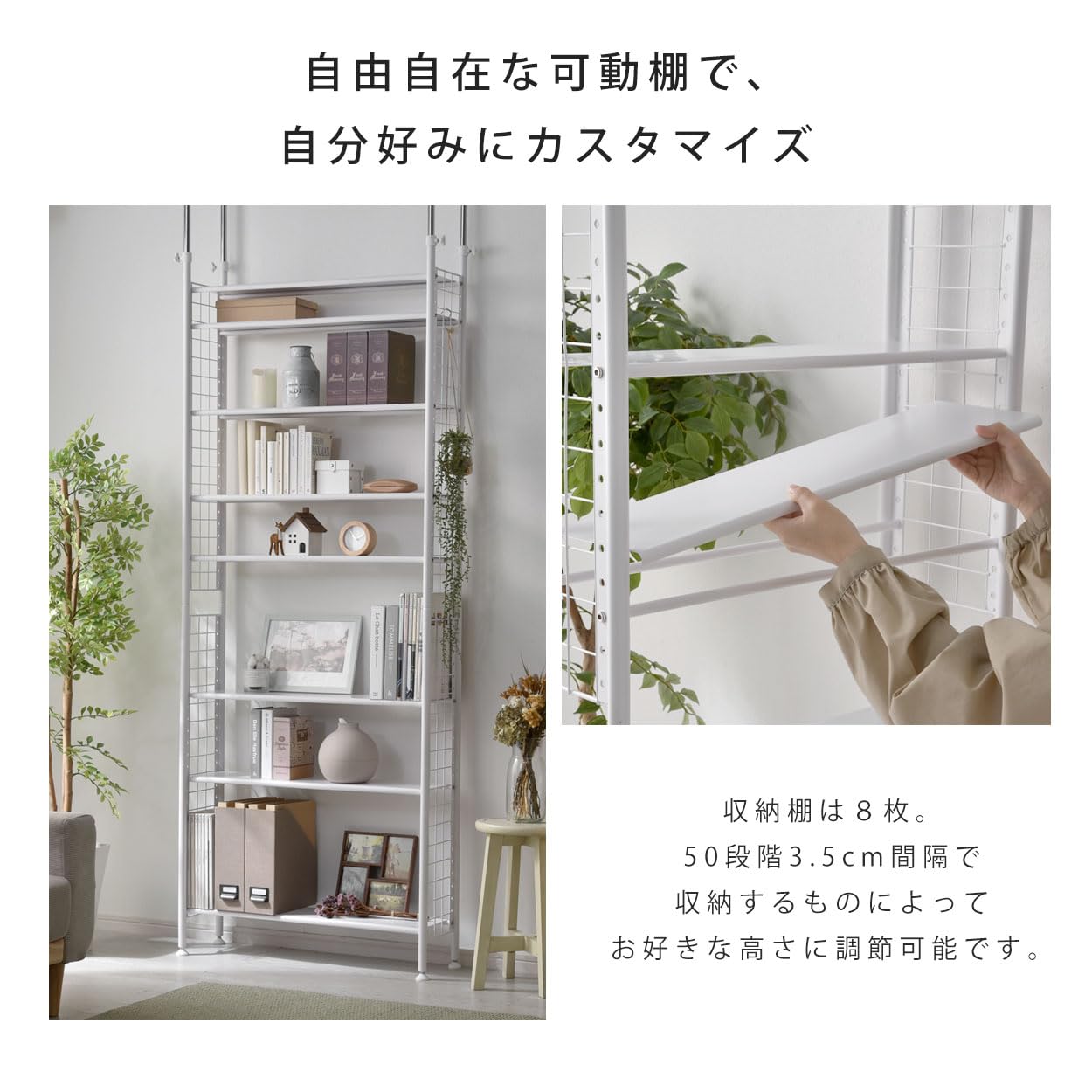 Amazon｜ワイエムワールド つっぱり 棚 本棚 スチール ラック オープン