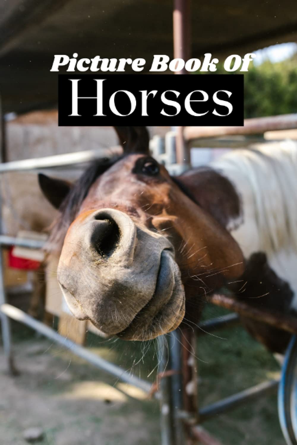 Picture Book Of Horses: A Gift Book For Alzheimer's Patients And Seniors With Dementia: 6 Inches By 9 Inches 39 Pictures Of Horses (Dementia Books mcj