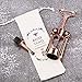 Wine Bottle Opener Wing Corkscrew, Godmorn Rose Gold Beer Bottle Opener with Wine Pourer, Cute Stainless Steel Winged Corkscrew, Pink Cork Screw Wine Accessories For Kitchen Bars Mothers Day Gift