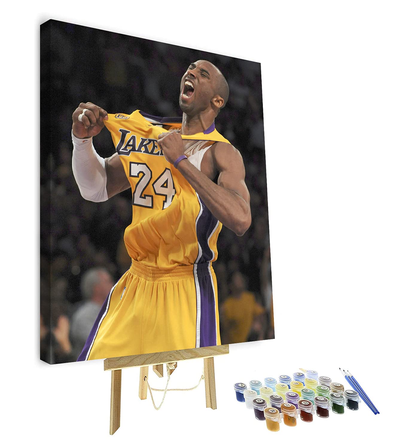 Paint by Numbers for Adults Framed - Basketball Game Star Paint by Numbers for Adults with Frame Sport Legend DIY Painting by Number Kits 16x20 inch Arts Craft for Wall Decor Gift(Framed)