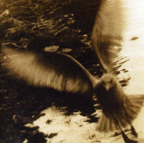 Various Take Me Home A Tribute To John Denver Amazon Com Music