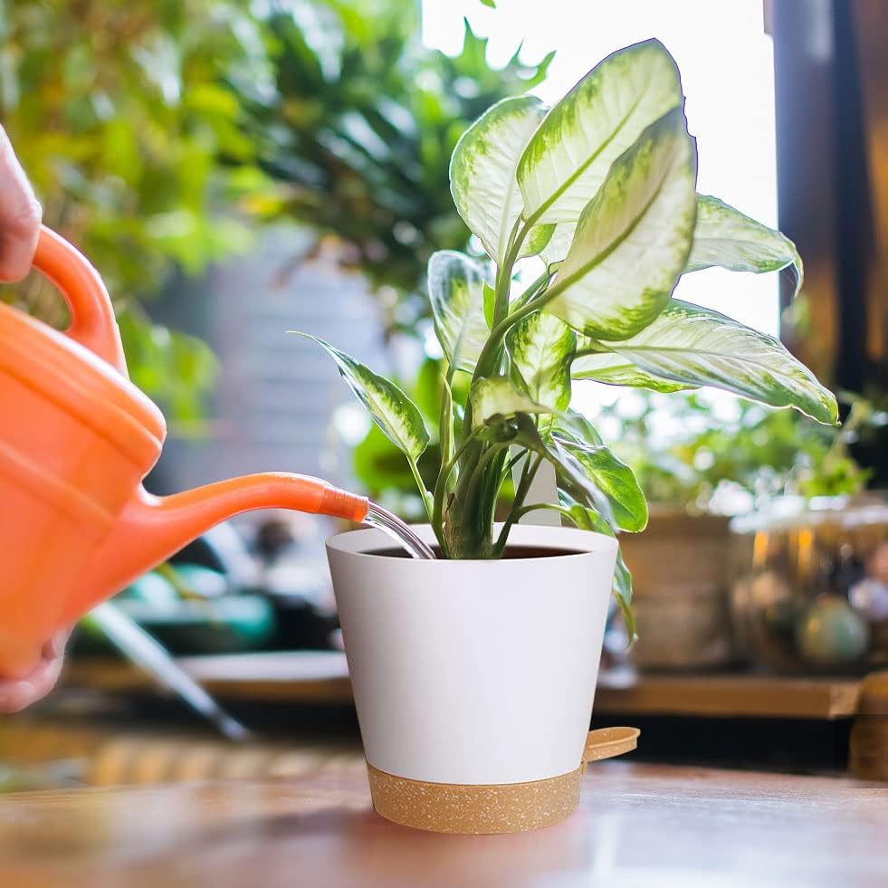 Miniatura 5 de Oradrem Paquete de 6 macetas, macetas de riego automático con agujeros de drenaje, macetas de plástico de 5 a 8 pulgadas, poner en interiores y