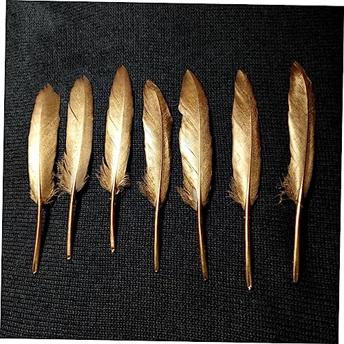 Plumas hermosas para decorar jarrones y arreglos florales 2