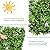 ODTORY Artificial Boxwood Topiary Hedges Panels: 40'' x 120'' UV-Protected Privacy Faux Grass Wall Backdrop Fence Screen for Patio, Balcony, Garden, Backyard Indoor Outdoor Green Decor