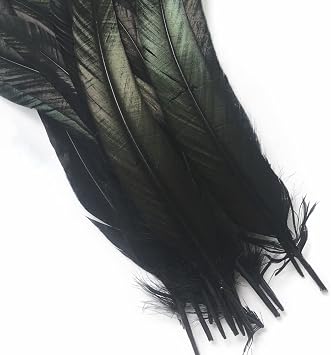 Sowder Rooster Coque Tail Feathers 14-16inch(35-40cm) for Costume DIY Crafting Home Wedding Decoration Tying Feather Party Performances Pack of 20 (Black)