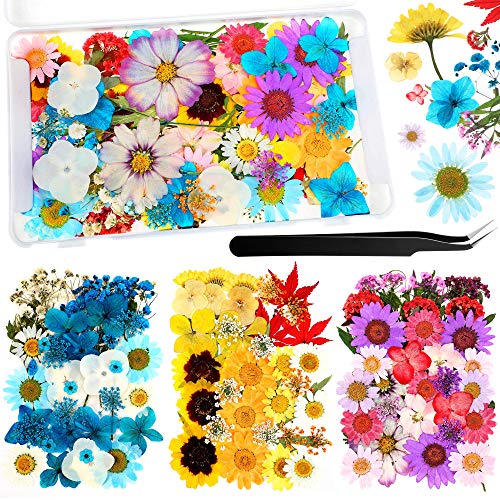 110 Piezas Flores Secas Prensadas para Resina con Pinzas y Caja miniatura 1