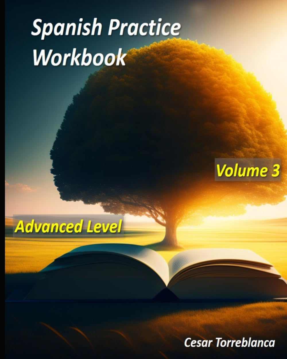 Spanish Practice Workbook - Volume 3 - Advanced Level (Spanish Practice Exercises)