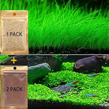 Alivonao Aquarium Plants Seeds, Live Aquarium Grass Seeds for Fish Tank Freshwater, Fast Growing Aquarium Carpet Seeds Mini Leaf &