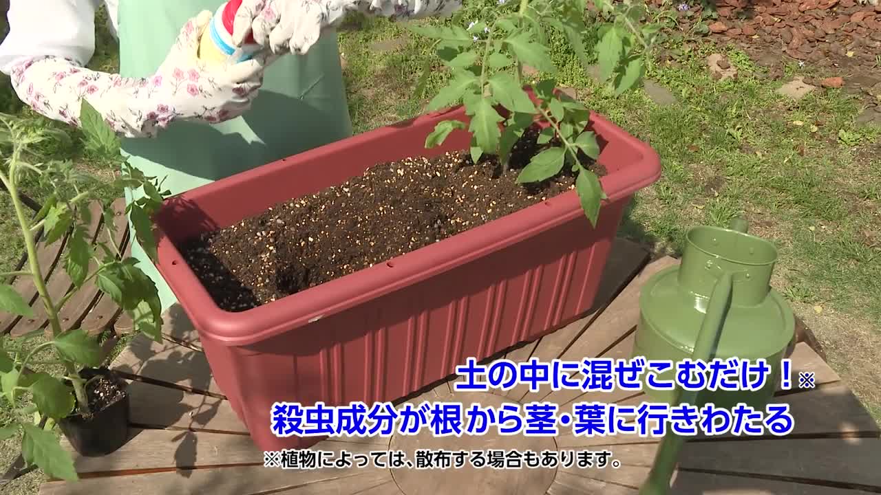 76 Off スミトモカガクエンゲイ オルトランdx粒剤 0g Discoversvg Com