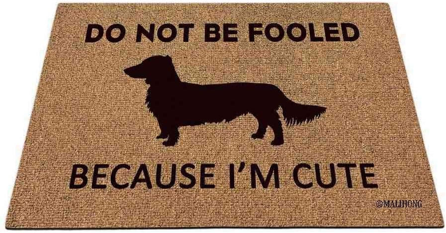 Long Haired Dachshund Puppy Doormat Do Not Be Fooled Because I'm Cute Funny Door Mats for Home Decor 27.5 x 17.7 Inch