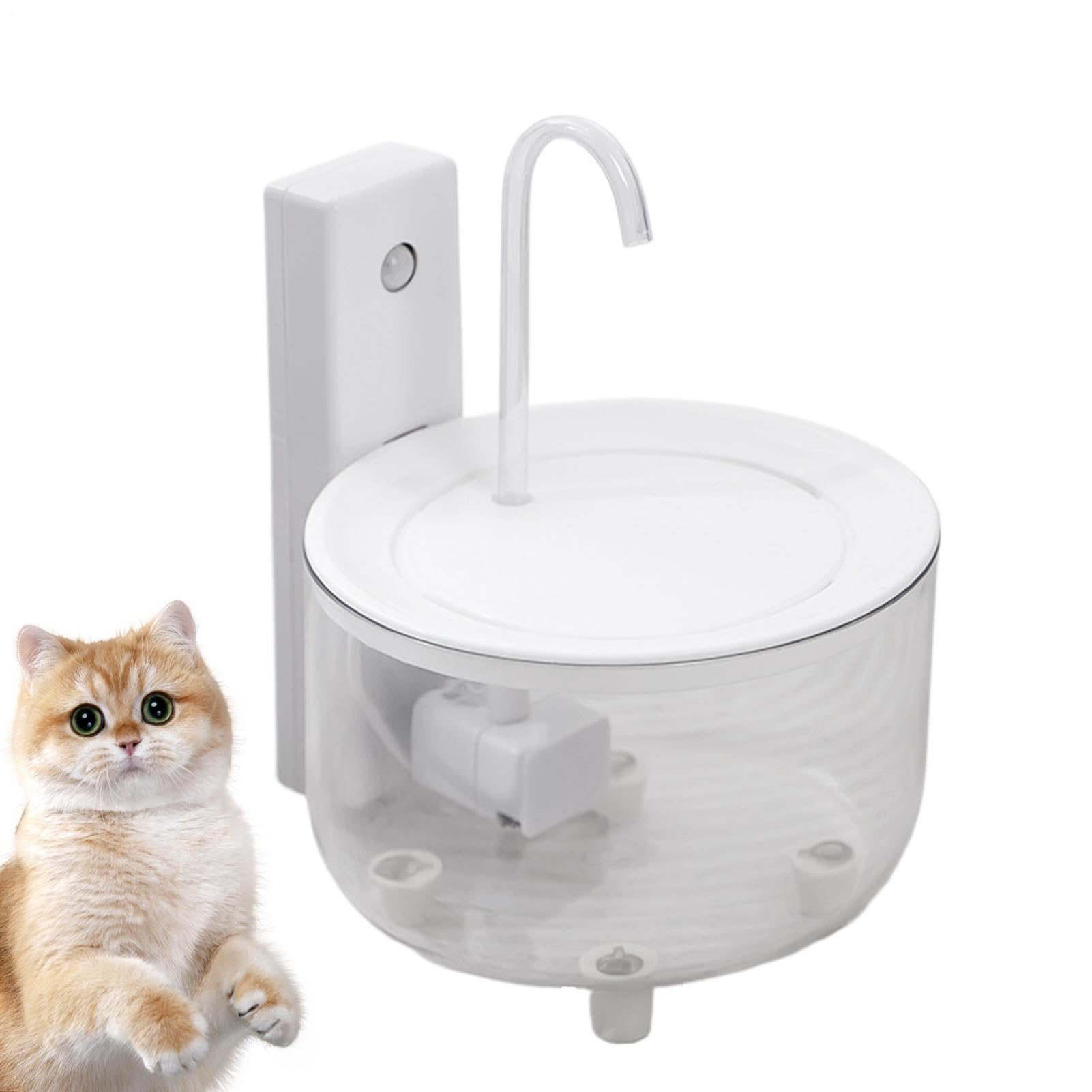 Dispensador automático para gatos en apartamento con fuente de agua silenciosa e inalámbrica