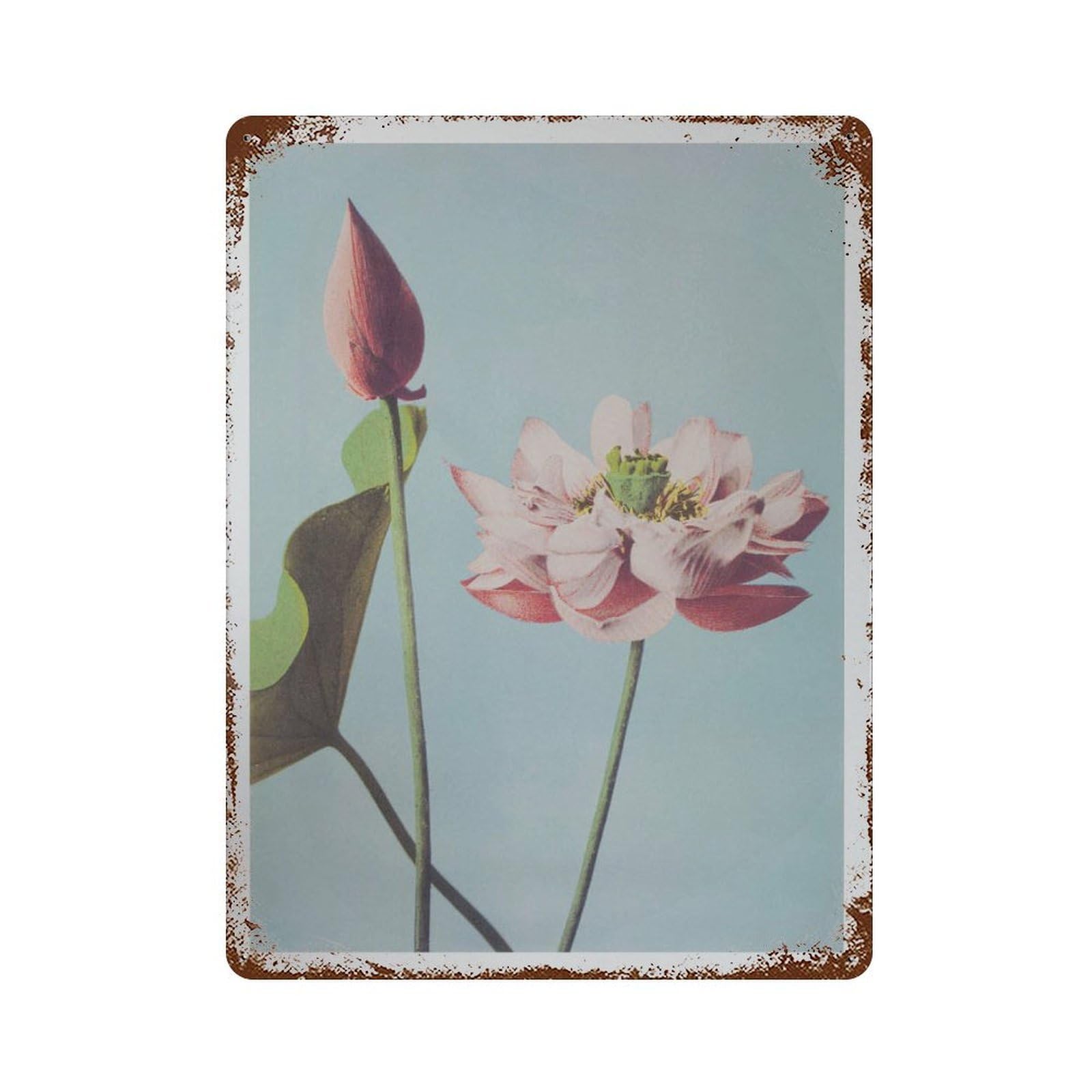 xiaoxiaoshen Vintage Set, Eclectic Gallery Decor1 Wall Decor Art Metal Tin Poster Modern Home Decor Art Home Bar Shop Decorations Vintage Sign 40x30cm