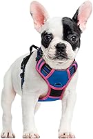 Vista 19 de rabbitgoo Arnés para perro, arnés sin tirones para mascotas con 2 clips para correa, chaleco acolchado suave ajustable para perro, chaleco Oxford