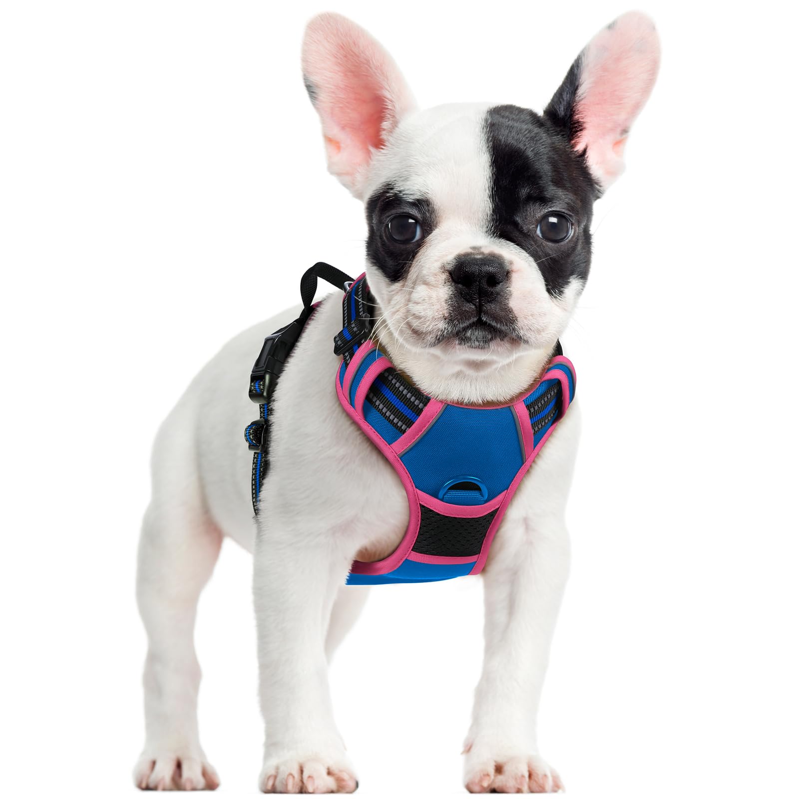 rabbitgoo Dog Harness No Pull with 2 Leash Clips, Adjustable Soft Padded, Reflective Oxford No Choke Pet Vest with Easy Control Handle for Large Dogs,