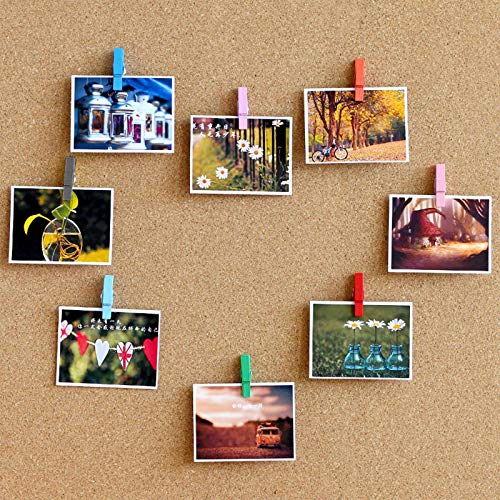 image for kiniza 20 Pack Colorful Push Pins Clips, Push Pins with Wooden Clips, 