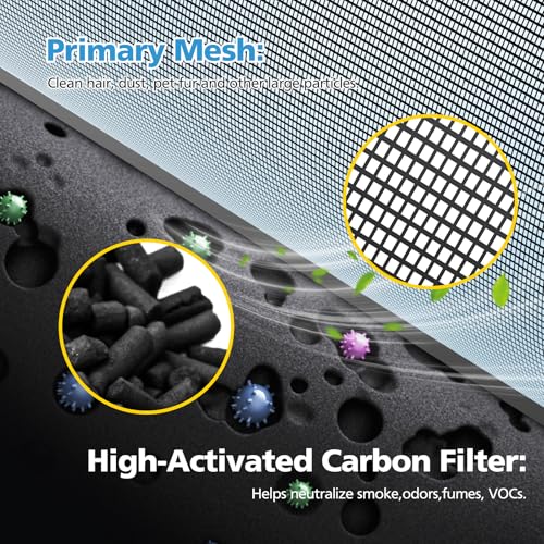 Image of PuriCare 360 Filter Replacement for LG PuriCare 360 Air Purifier, AS601HBB0 | 3-in-1 Filtration, HEPA+ Activated Carbon+Pre-Filter, for Home Large Small Room Bedroom up to 2059 ft Air Clean, 1 Pack