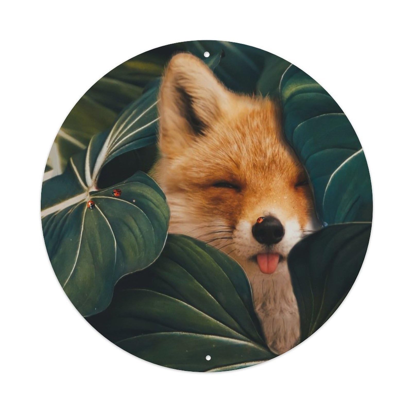 Fox And Tropical Leaves Ladybug Poster Metal Tin Sign